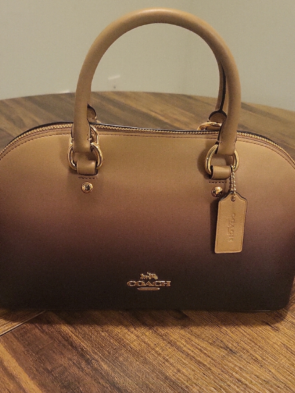 Coach Ombre Lara Satchel Bag